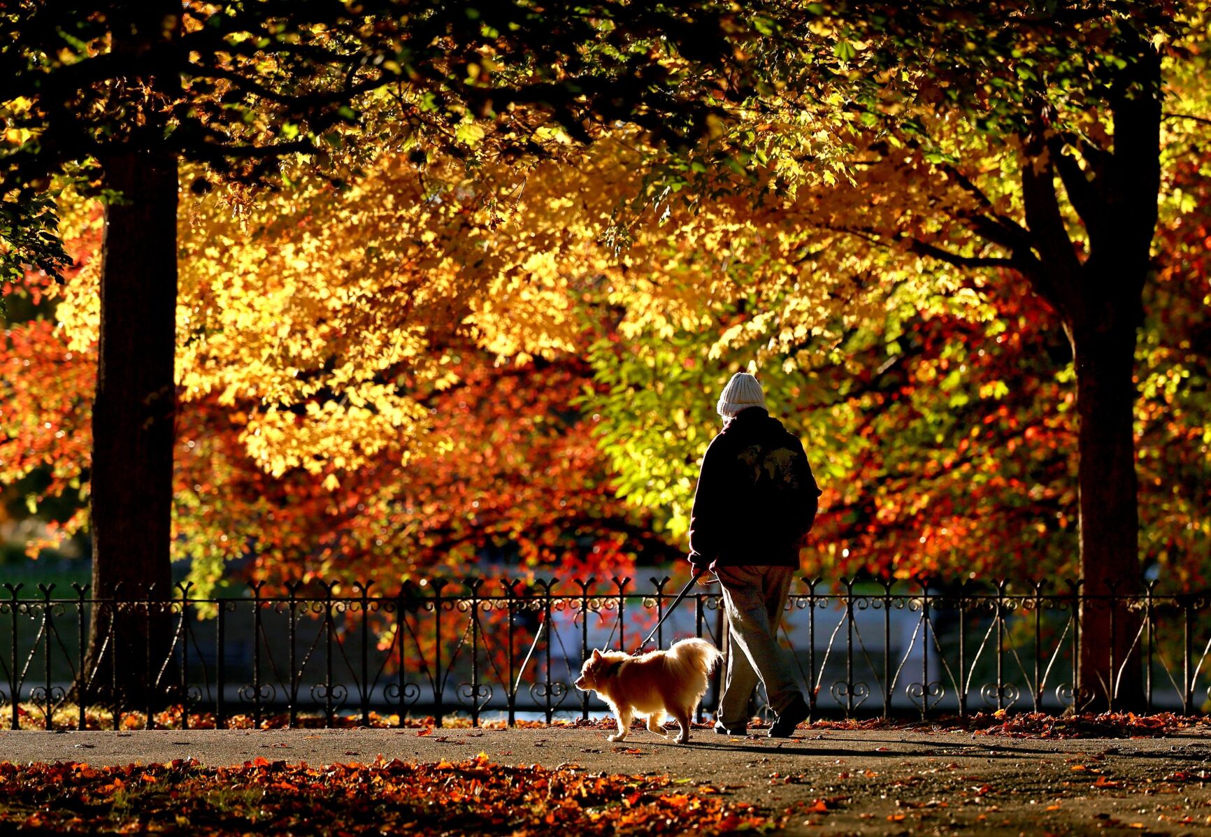Lafayette Square fall colors